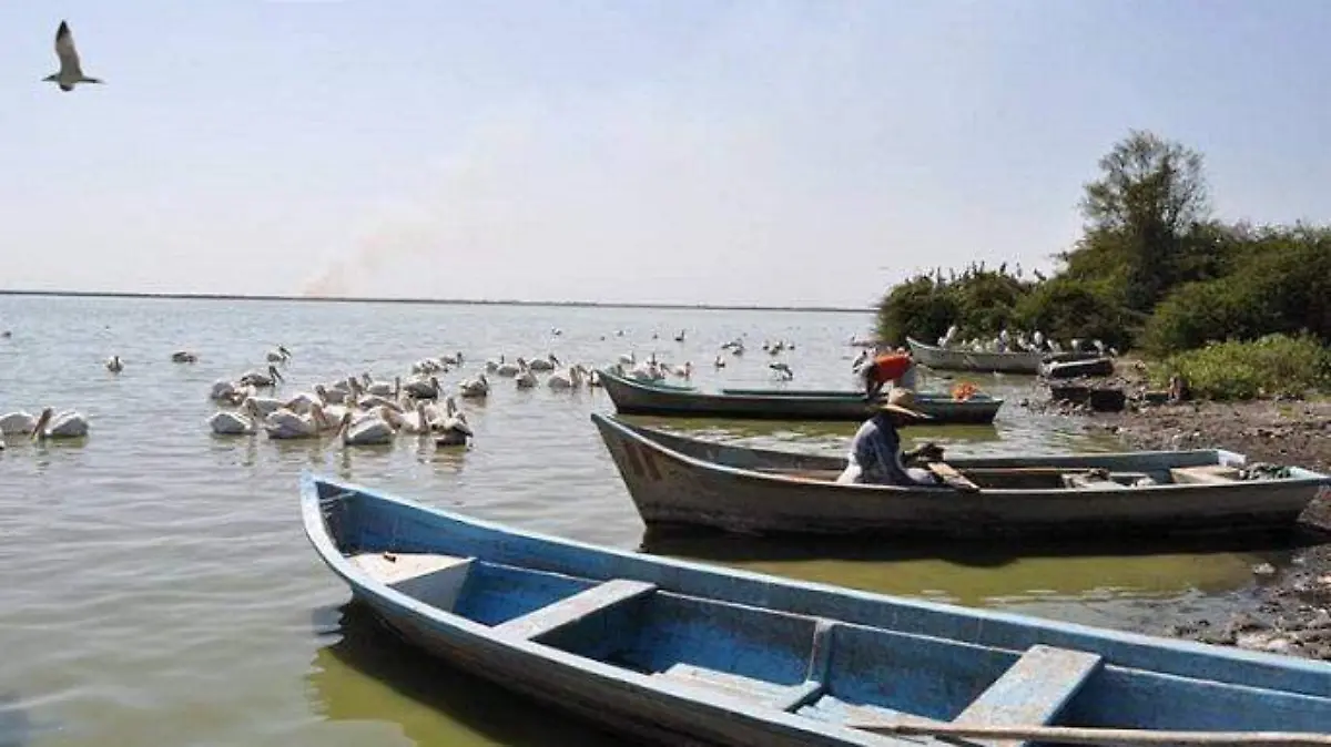 contaminación rio